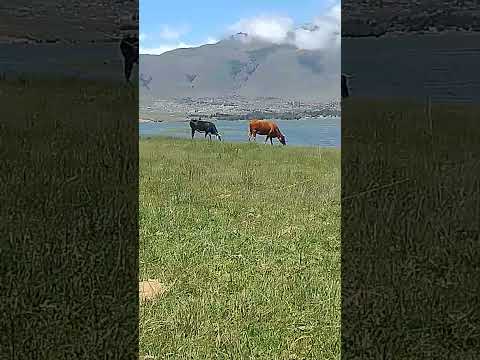 el mollar tucumán Argentina