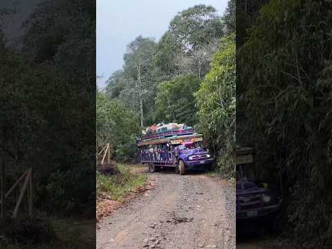 la hermosa chiva la uva por el municipio de Amalfi Antioquia un vehículo clásico #chivas #campo