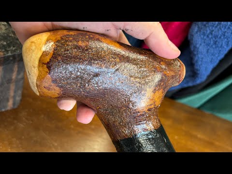 Extra heavy - blackthorn walking stick -rare 1.6kg monster