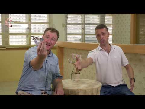 HOT臺南EP11.HOT英語教室 (Hot Tainan EP11. HOT English Classroom)