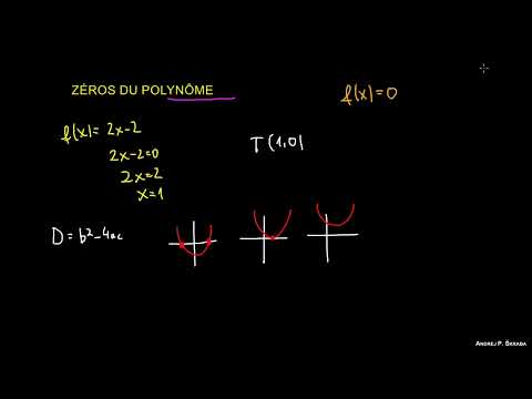 Que sont les Zéros d'un Polynôme ?