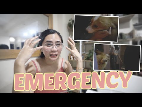 NABUNDOL SI DODI! + GROCERY VLOG (August 28, 2020.) | Anna Cay ♥
