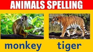 Zoo Animal Names - Learn Spelling and Pronunciation in English