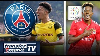 PSG will Sancho! Das sagen die TM-User – Wertvollste Talente der Liga NOS | TRANSFERMARKT