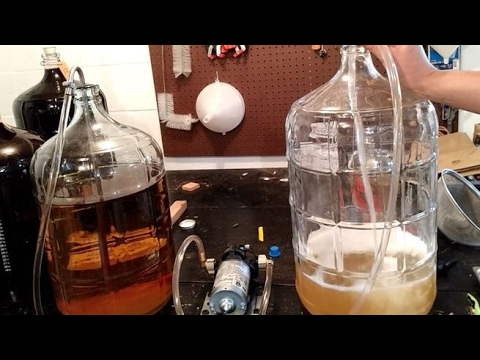 Budget Wine Transfer Pump - Shurflo 2088 Diaphragm Pump