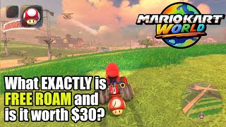 What EXACTLY is "Free Roam" and is it worth $30?