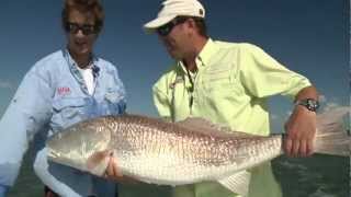 preview picture of video 'Florida Adventure Quest presents, Ponce Inlet Redfish.mov'
