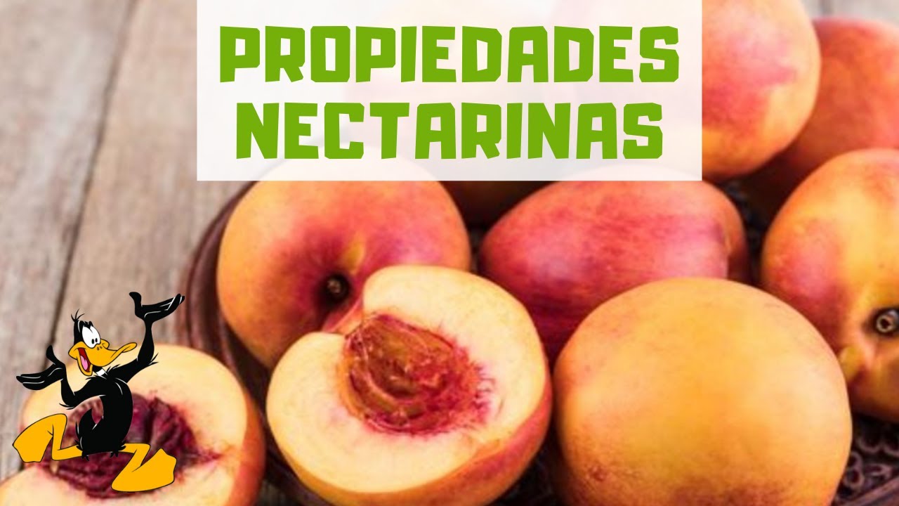 10 Propiedades de las Nectarinas 🍑 ¡BENEFICIOS!