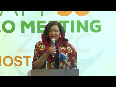 Zambia to connect to East Africa power pool