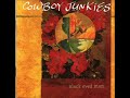 The Cowboy Junkies ~ To Live Is To Fly