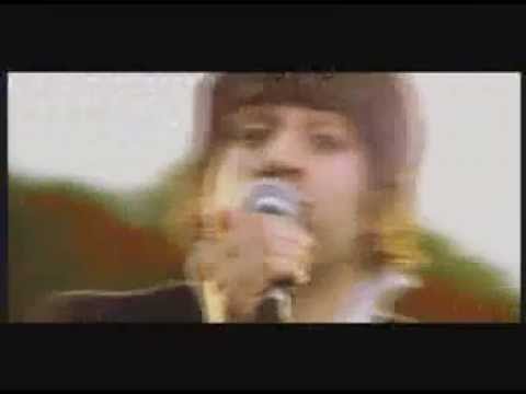 TIMID TIGER -  Combat Songs & Traffic Fights (Official Video)