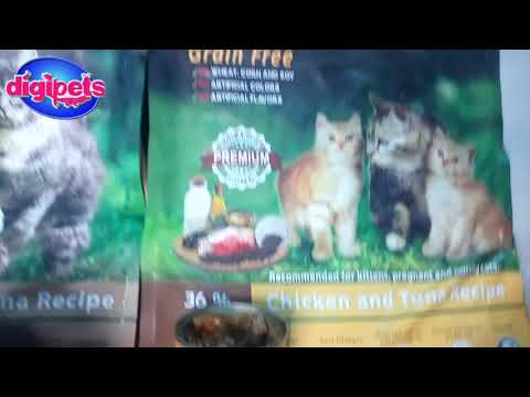 Kittens Enjoying Naturlife Cat food (grain-free)