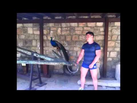 Happy Birthday Sully.