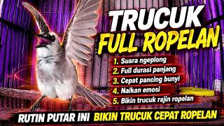 Download lagu TRUCUKAN GACOR ROPEL PANJANG, CEPAT MEMANCING TRUCUK BUNYI RAJIN ROPELAN mp3 Download lagu TRUCUKAN GACOR ROPEL PANJANG, CEPAT MEMANCING TRUCUK BUNYI RAJIN ROPELAN mp3