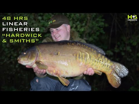 Catching Carp At Hardwick & Smiths