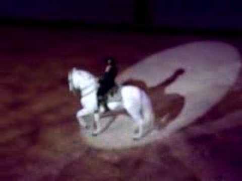 Kür Rafael Soto et Invasor