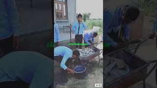 preview picture of video 'Clean India mission modi ji'