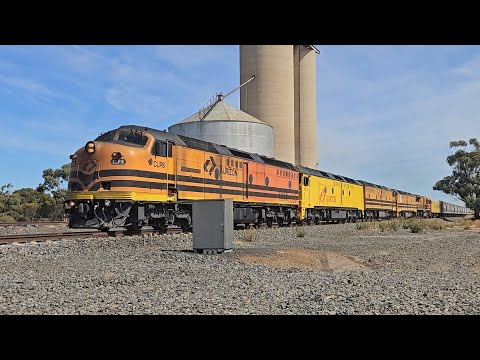7AK1 Aurizon empty grainy (5 locos), Dry Creek to Dimboola, 22/3/25, Nhill-Dimboola
