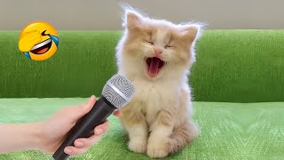 Miniature vidéo