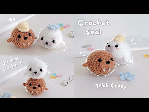 Hải cẩu và hải mã