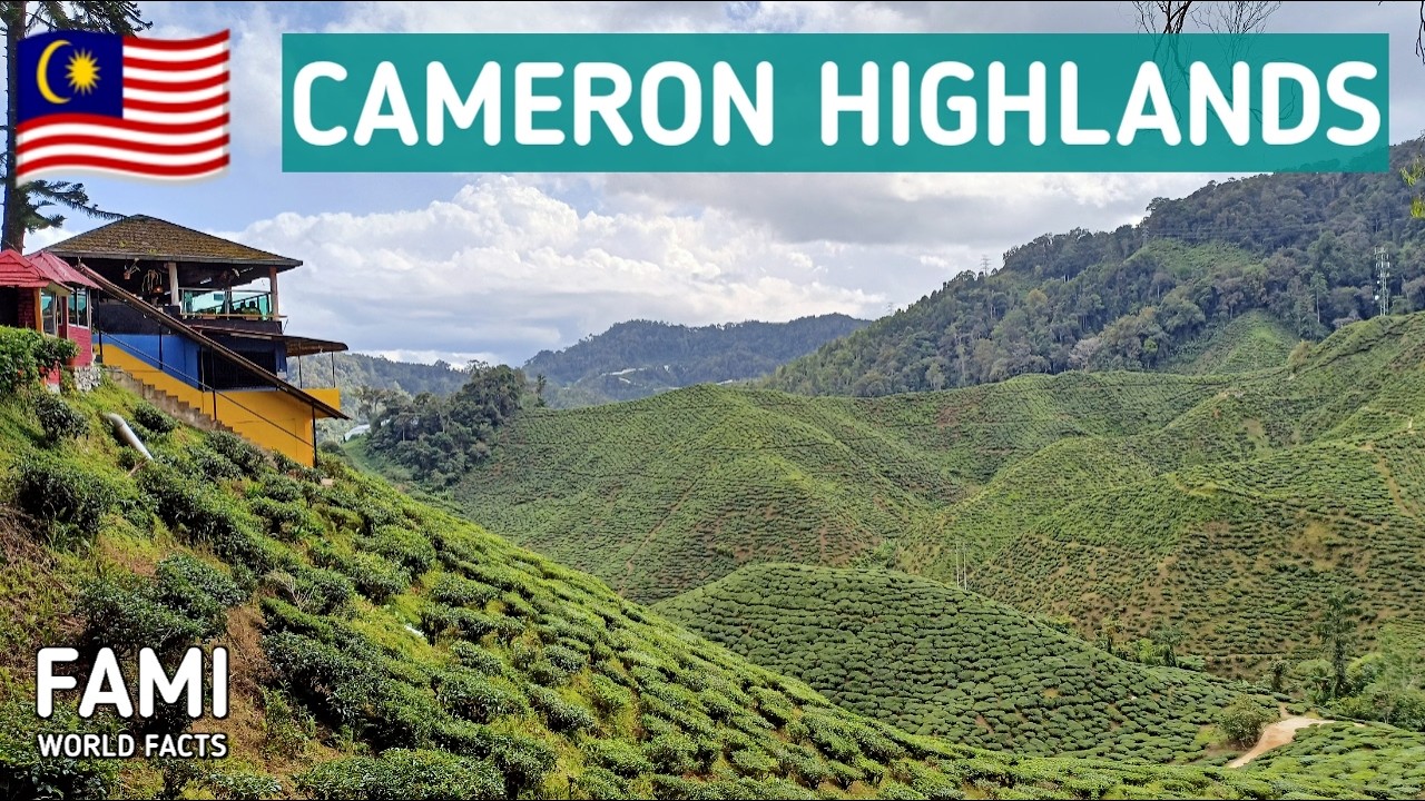 A Road Trip to the Historic and Cool Highland in Malaysia