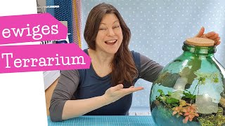 ewiges Terrarium  Flaschengarten anlegen  DIY Flor