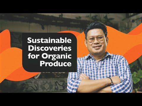 Powered by Palm Oil: Sustainable Discoveries for Organic Produce | Lewi Cuaca