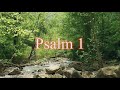 A reading of Psalm 1 from the New Living Translation
