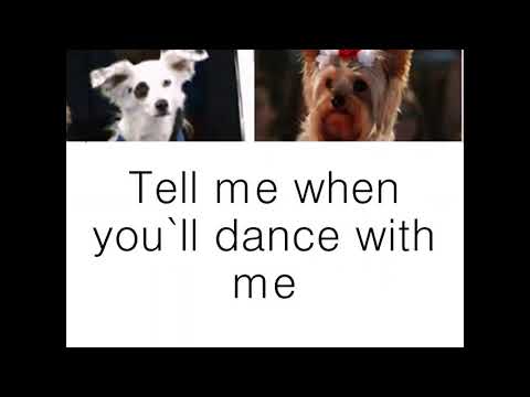 Tinny and Julio Tell me cuando lyrics