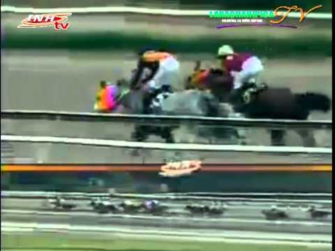 LA RINCONADA 8 CARRERA DOMINGO 16 DE NOVIEMBRE DEL 2014