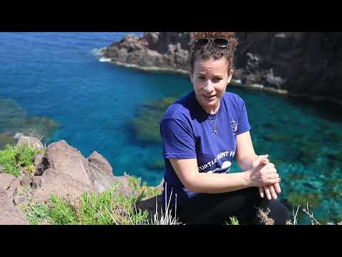 TartaNet Eolie: una rete per il recupero e soccorso delle tartarughe marine