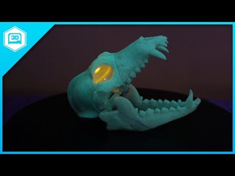 Front Wolf Skull