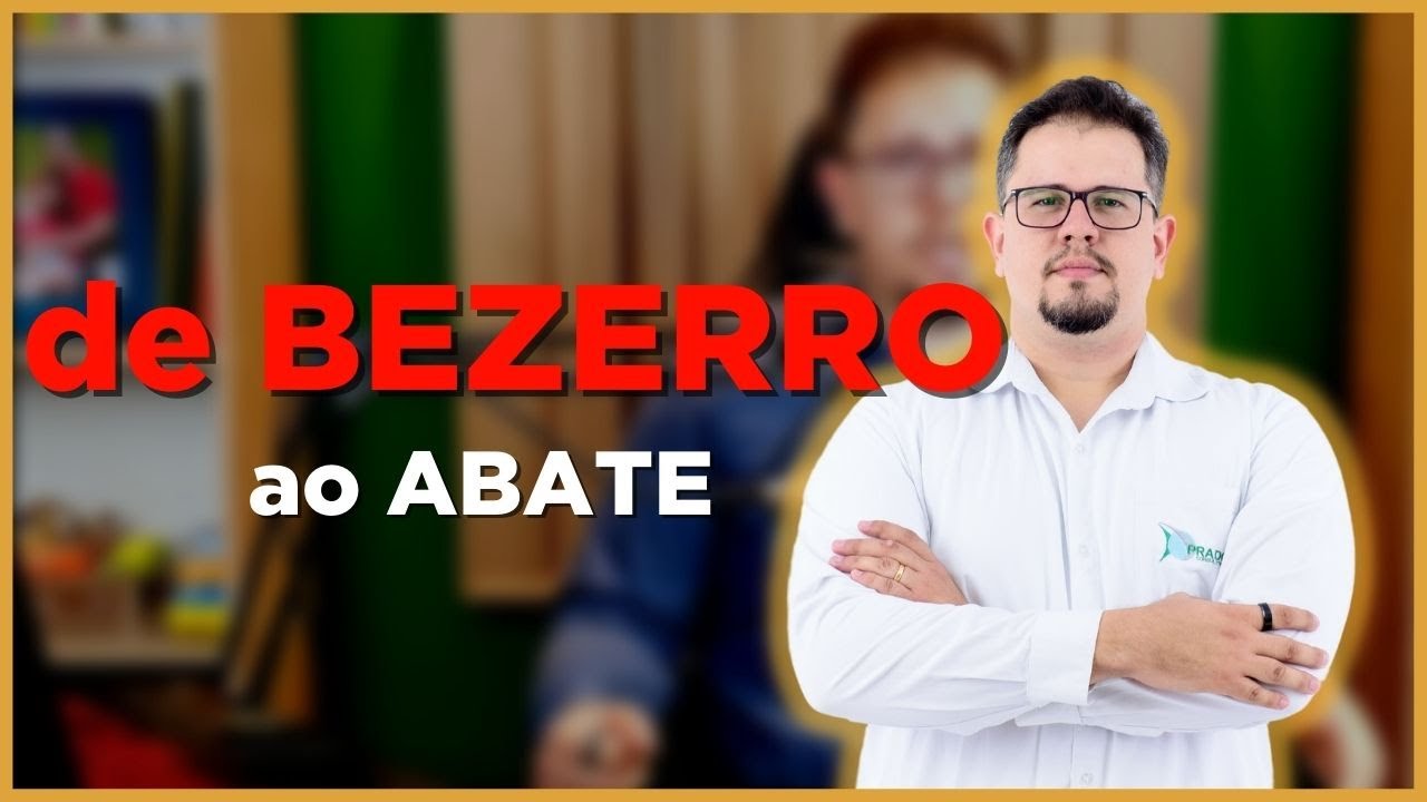 Qual é o tempo para o BEZERRO chegar ao PESO DE ABATE?