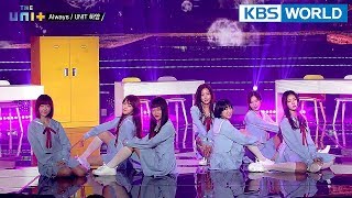 Unit White – Always [The Unit/2018.03.01]