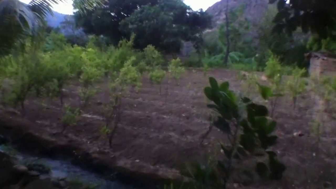 https://www.youtube.com/embed/-rzm5u1ocxI