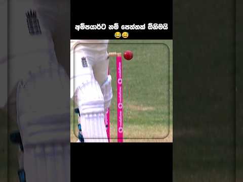 Sticking bails 😂😅 #camerongreen #theashes #englandcricket #australiacricket #funnycricket