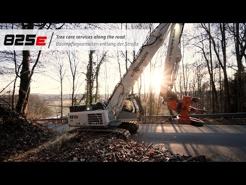 Baumpflegearbeiten entlang der Straße - SENNEBOGEN 825 E