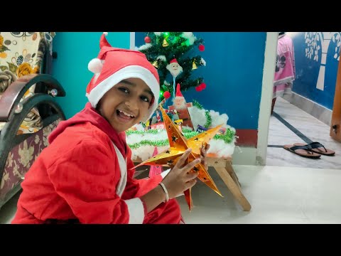 Mandeep's Flower Garden 🎄 #flowers  #christmas