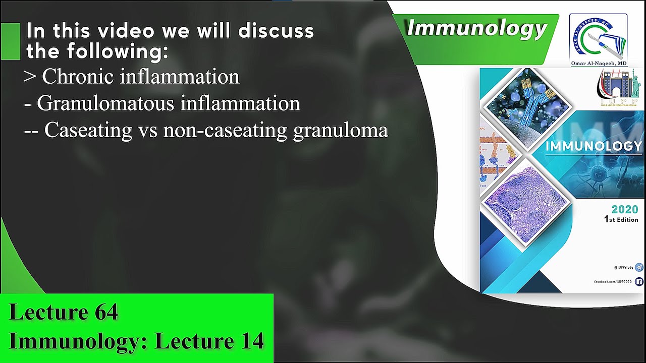 Chronic inflammation || Granulomatous inflammation || Caseating vs non caseating granuloma