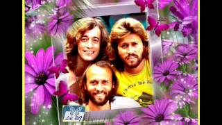 Bee Gees -  Cryin&#39; Every Day 109