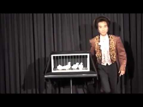 Vanishing Dove Cage by Tora Magic