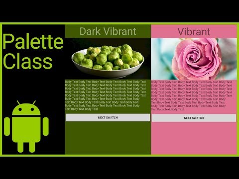 How to Use the Palette Class to Extract Colors from An Image Android Studio Tutorial