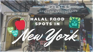 7 Delicious Halal Restaurants in New York