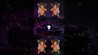 Download lagu DJ KICAU KICAU KICAU MANIA SLOW VIRAL TIKTOK FULL SONG MAMAN FVNDY 2026 mp3 Download lagu DJ KICAU KICAU KICAU MANIA SLOW VIRAL TIKTOK FULL SONG MAMAN FVNDY 2026 mp3