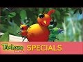 Miss Spider S Sunny Patch Kids Special