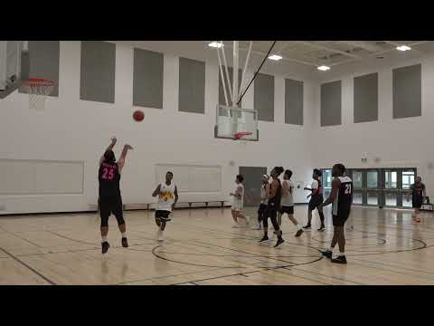 hrmnze vs La Dynasty - sunday tier 4 - tcbl 2022 summer