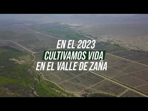 🌾 Un año de crecimiento con propósito 💚