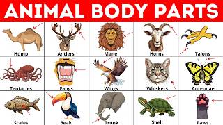 Animal Body Parts in English | Animals Vocabulary | Animals Body Parts Name | English Vocabulary
