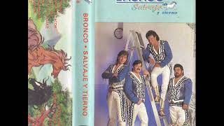 Bronco - Hazme Soñar (1991)