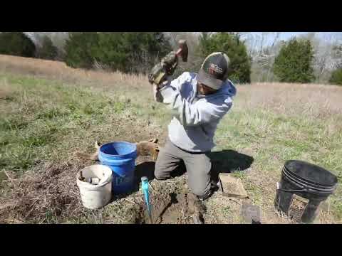 Predator Trapping Updates in Alabama Pt. 3 - The Management Advantage